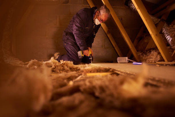 Best Specialized Insulation Services in Brown Deer, WI